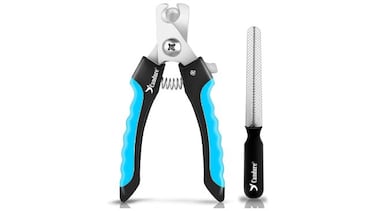 ¿Tienes un gato? Estos 10 productos son básicos para el bienestar de tu primera mascota