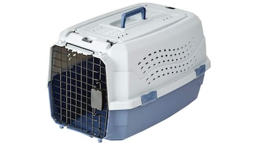 ¿Qué se necesita para tener un perro? 10 productos básicos (y baratos) para que cuides de tu mascota