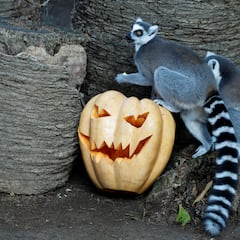 What is the history, origin and meaning of Halloween?