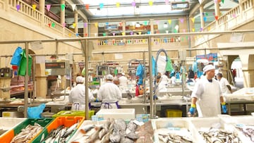 El mercado central de Pontevedra es un edificio de estilo tradicional gallego, con columnas y arcos de piedra que albergan 214 puestos de comerciantes, quienes abastecen diariamente la ciudad de Pontevedra con el mejor producto fresco. Todos los d¨ªas los pasillos de este mercado son un ir y venir de gente. Hay quienes en estas fechas ya buscan el mejor pescado, marisco, carne o verduras. Pero tambi¨¦n hay visitantes de todos los puntos de la pen¨ªnsula que sienten curiosidad por entrar en este mercado en b¨²squeda de la m¨¢s famosa materia prima gallega: el pulpo. Incluso para los m¨¢s impacientes, tienen la opci¨®n de comprar el producto fresco en la plaza y cocinarlo in situ en uno de sus puestos gastron¨®micos tal y como se har¨ªa en cualquier hogar gallego.
Precio medio de la cesta de la compra: 52.05 €
Puestos de venta disponibles: 214