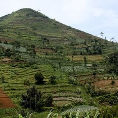 Ni las de Egipto ni las de México: la pirámide más antigua del mundo es la de Gunung Padang