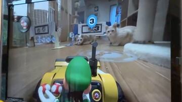 Las consecuencias lógicas y terribles de jugar al nuevo Mario Kart radio control en tu salón