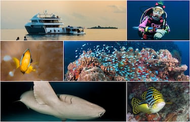 Gigantes en Maldivas