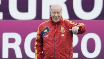 Vicente del Bosque, seleccionador español de fútbol.