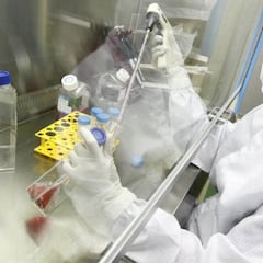 La procedencia del cáncer y el motivo de que no haya desaparecido con la evolución