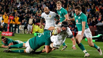 Springbok captain Warren Whiteley suffers new injury