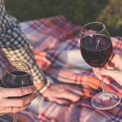 ¿En qué se diferencia un vino Rioja de un Ribera del Duero?