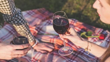 El truco definitivo para prevenir la resaca que deja el vino tinto. Foto: Pixabay