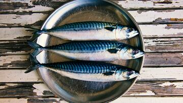 El pescado ideal para mantener la masa muscular y proteger al corazón en otoño: mucha gente lo tiene y poca lo usa