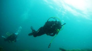 El gran y misterioso mundo marino se abre ante nosotros cuando buceamos