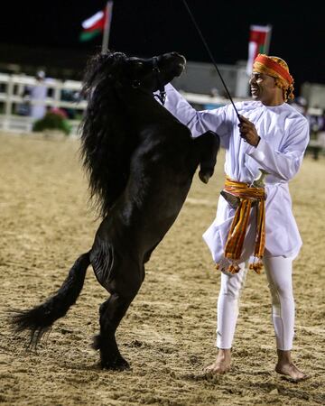 El Campeonato de caballos árabes de Omán en imágenes