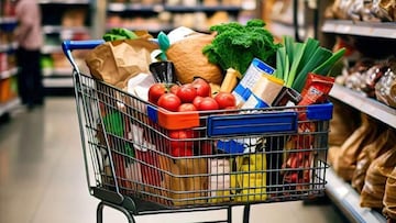 Revelan cómo sería el nuevo programa de Alimentación para Bienestar 2024 de Sheinbaum