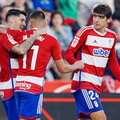 Año nuevo, Granada nuevo