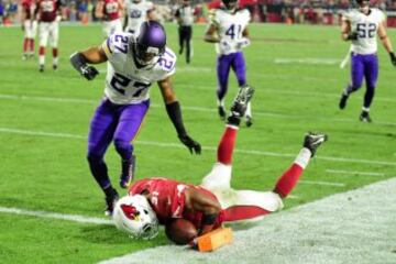 El resultado de la jugada fue pase incompleto y la bola siguió en posesión del equipo local, que poco después lograba un nuevo touchdown por medio del corredor rookie David Johnson. Sin embargo, los zebras anularon la anotación tras ver la repetición (la rodilla del jugador toca el suelo) y los locales tuvieron que conformarse con un nuevo field goal que ponía el 20 a 10 a principios del último cuarto.