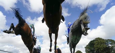 Carreras de obstáculos en el hipódromo de Fontwell Park