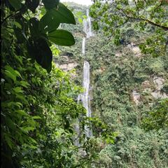 Conoce uno de los mejores lugares de Colombia para practicar senderismo: una impresionante cascada y fácil acceso con mascotas