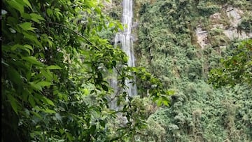 Conoce uno de los mejores lugares de Colombia para practicar senderismo: una impresionante cascada y fácil acceso con mascotas