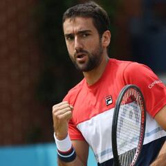 Cilic se medirá a Djokovic en su segunda final en Queen's
