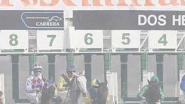 <b>ENTRE TINIEBLAS. </b>En el hipódromo de Dos Hermanas la niebla dificultó extraordinariamente la visión de las carreras. En la imagen, la salida de una de las pruebas.