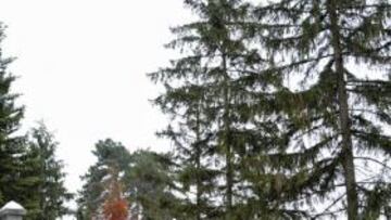 Lyon recibe al Madrid con nieve y dos bajo cero