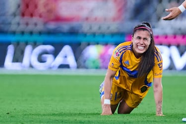 Diana García, a la congeladora