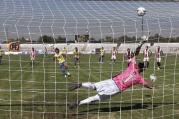 Palestino registra tres triunfos consecutivos sobre Universidad de Concepci&oacute;n por Torneos Nacionales: 1-0 en La Cisterna por el Clausura 13-14, 1-0 en Yumbel por el Apertura 14-15 y 3-2 en casa por el Clausura 14-15.