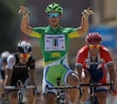 Sagan gana y Wiggins llega de amarillo a la última etapa