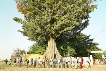 Un gran número de alumnos posan a las puertas de su colegio junto a un gigantesco árbol. Antes de la llegada de Bicicletas Sin Fronteras tan solo había cinco bicicletas en esta zona de Senegal, una de las más rurales del país. 