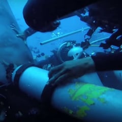 Graban a un tiburón tigre atacando a un buceador en las Fiji