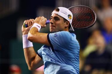 Del Potro vence a Sousa y se acerca al Masters