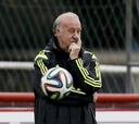 Del Bosque: "Si soy un estorbo para nuestro fútbol, me iré"