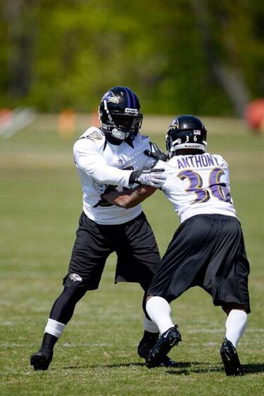 ASÍ LOS VEMOS: Baltimore Ravens (AFC Norte)