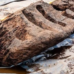Hallan en un pantano una escultura pagana de madera de 1.600 años de antigüedad