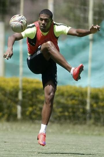 Intensidad y trabajo en el entrenamiento verdolaga