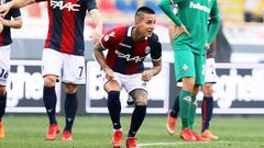 DT del Bologna alabó a Pulgar y cree que será clave en la Roja