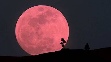Luna Rosa 2024 en Chile: a qué hora y cuándo es, y cómo ver esta semana la luna llena de abril