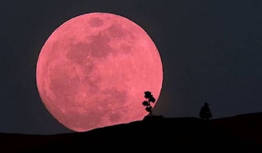 Luna Llena de abril 2024: ¿cuándo y a qué hora ver la Luna Rosa en México?