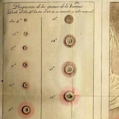 ¿Cuándo dejó de ponerse la vacuna de la viruela en España y cuándo fue erradicada?