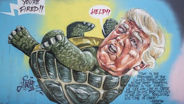 SYDNEY, AUSTRALIA - NOVEMBER 11: A mural by Australian artist Scott Marsh is seen on a wall at the Botany View Hotel on November 11, 2020 in Sydney, Australia. The mural by Australian graffiti artist Scott Marsh was inspired by comments made by CNN reporter Anderson Cooper over Donald Trump&#039;s reaction to the U.S. election results and the current U.S President&#039;s refusal to concede to Joe Biden. (Photo by Jenny Evans/Getty Images)