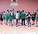 Nueva revancha entre Lenovo Tenerife y Unicaja Málaga para abrir el ‘playoff’