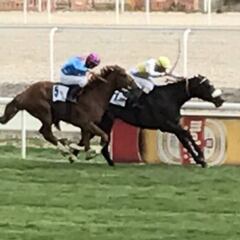 'Ecrin des Bieffes' impone su calidad en el Torre Arias