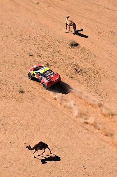 El piloto francés de Bahrain Raid Xtreme, Sebastien Loeb, y su copiloto belga, Fabian Lurquin, pasan una manada de camellos mientras compiten.