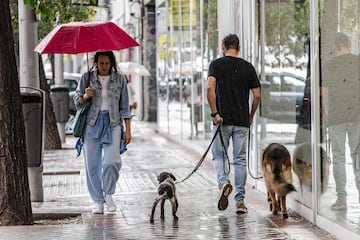 La DANA situada sobre el territorio español ha dejado importantes precipitaciones y tormentas, lo que ha provocado imágenes impactantes con sus consecuencias. Según el pronóstico de la Agencia Estatal de Meteorología (Aemet), que ha emitido un nuevo aviso especial por las lluvias y tormentas que se espera que continúen hasta el lunes. La Comunidad de Madrid y Toledo están bajo aviso rojo ante el riego de que se acumulen 120 litros por metro cuadrado en 12 horas.