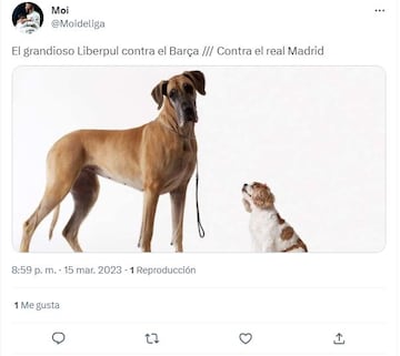 Haaland y el Real Madrid, protagonistas de los memes más divertidos de la jornada Champions