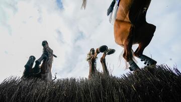 Carreras de caballos desde un punto de vista diferente