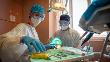 DVD 1105. Madrid, 05/05/2022. Almunos del curso de la Facultad de Odontología realizan practicas en el edificio de la Universidad Complutense de Madrid. (Foto: JUAN BARBOSA)