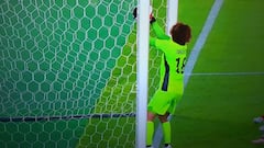 ¿Fue gol? La jugada que pudo cambiar la historia de la Roja