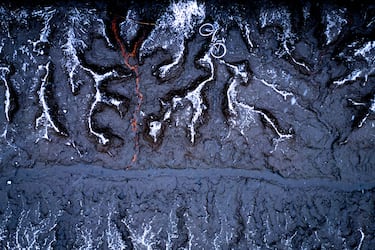 Las fotografías ganadoras del ‘Nature Photographer of the Year’