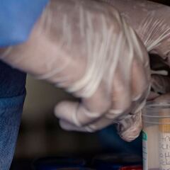 Prueba de COVID en Bogotá: precio, cómo solicitar y puntos donde es gratis hacérsela