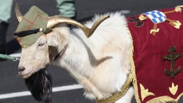 La cabra de la Legión es la mascota oficial.